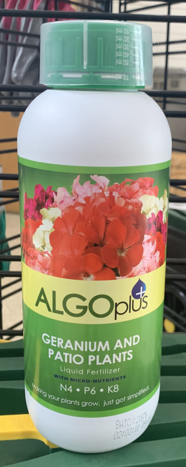 algoplus geranium and patio