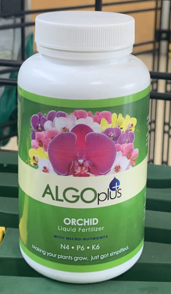 algoplus orchid