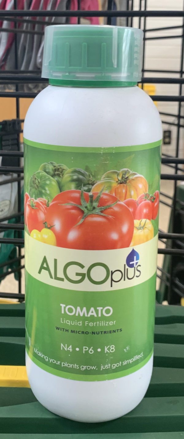 algoplus tomato